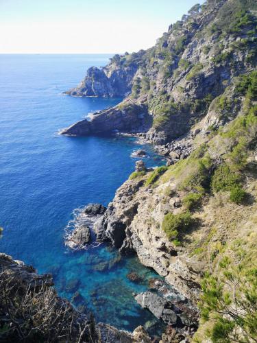 Presqu'île de Giens